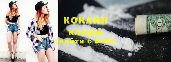 соль ск Алзамай
