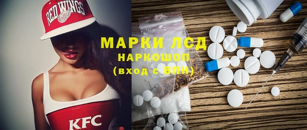 винт Ельня