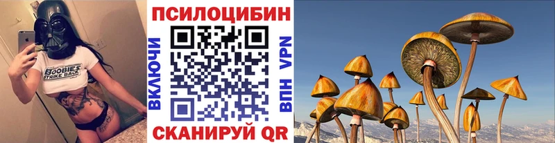 Псилоцибиновые грибы мицелий  цены наркотик  Суровикино 